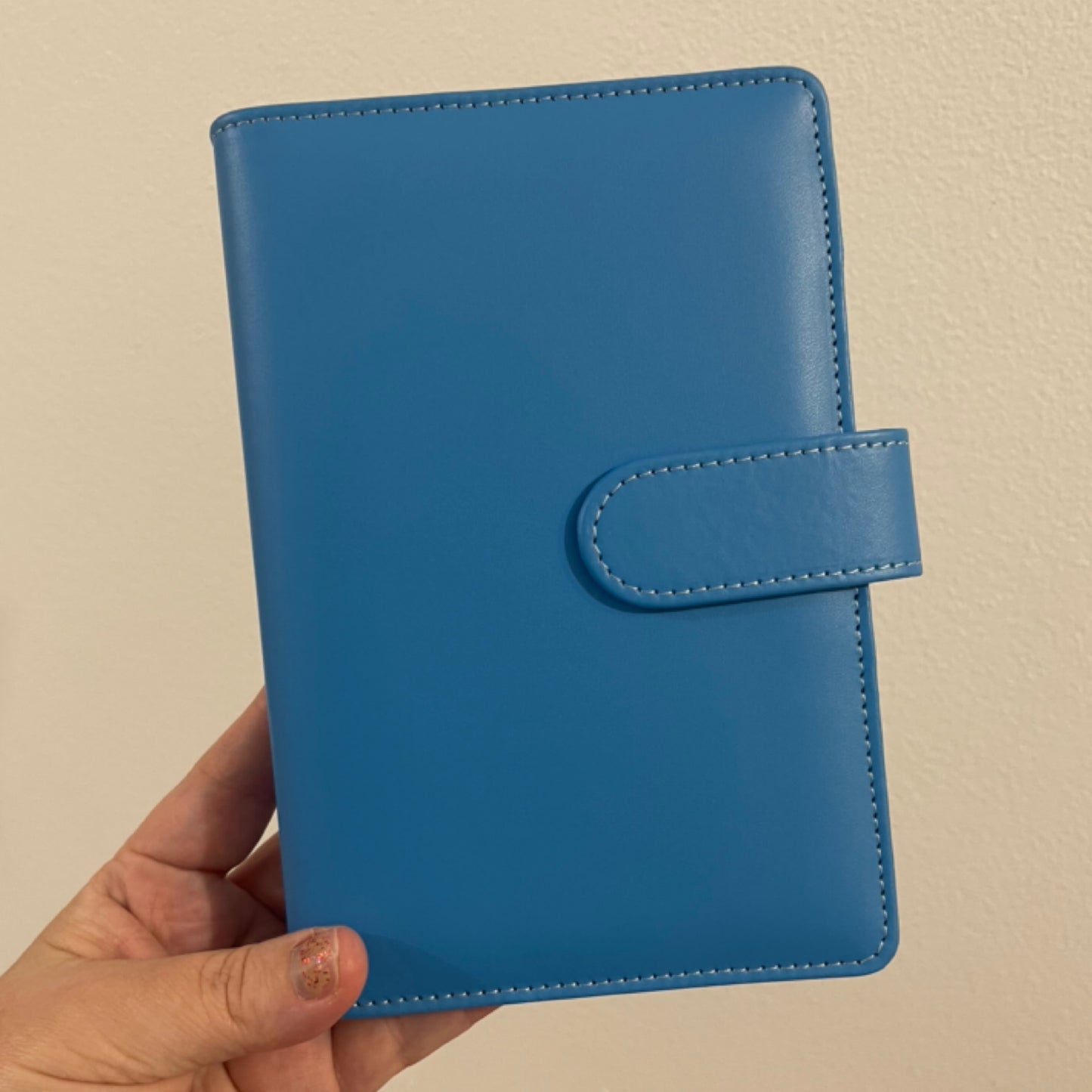 Blue Budget Binder